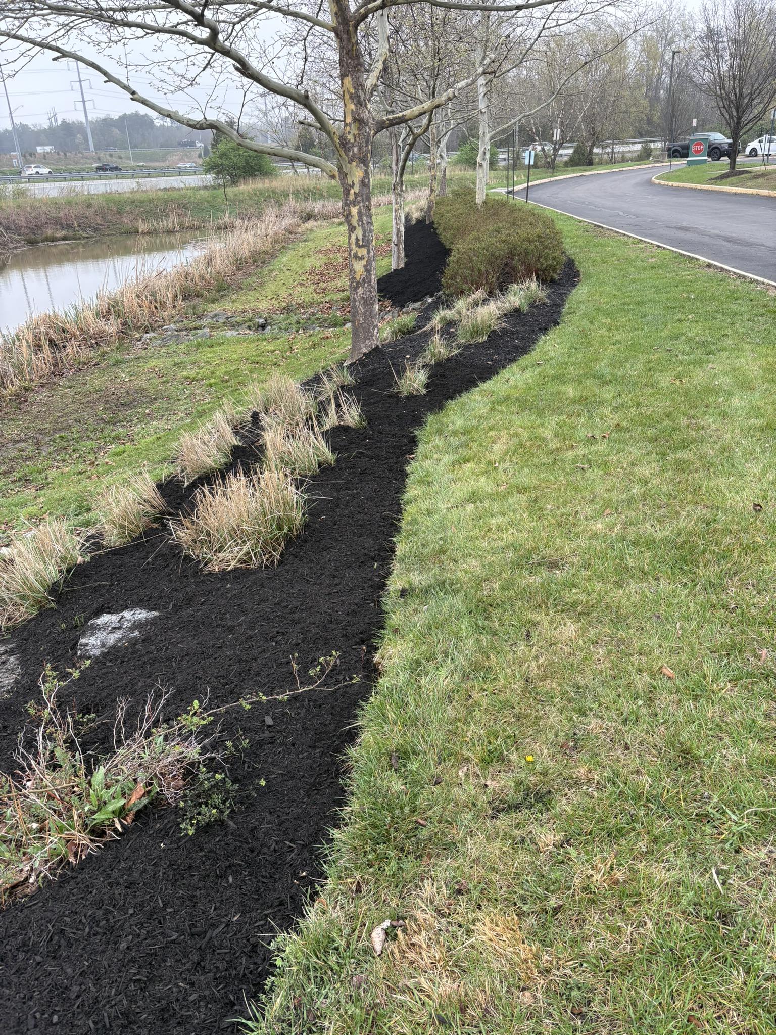 Commercial parking lot tree beds maintained by Four Roots Landscaping in Winchester VA