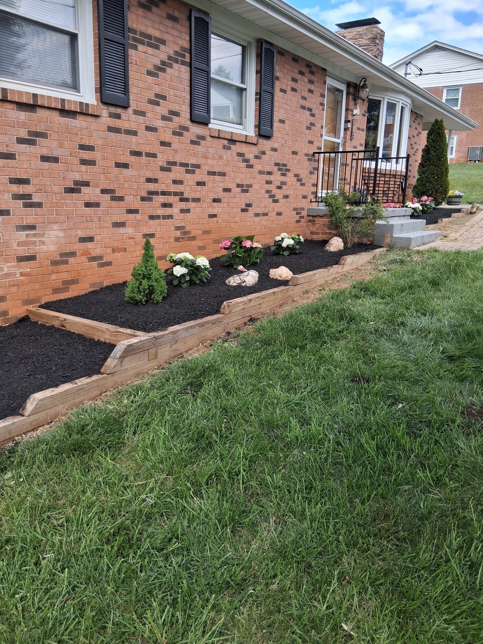 Landscape bed with hydrangeas, evergreens and a timber border in Front Royal VA