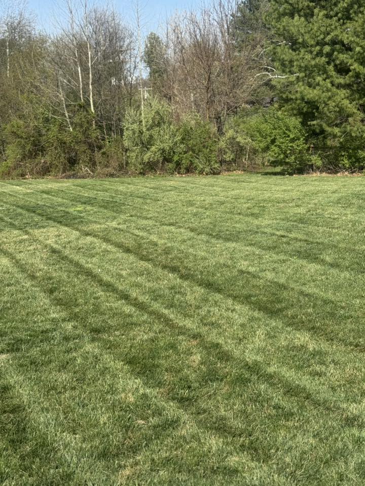 Professional lawn mowing with striping in Front Royal VA
