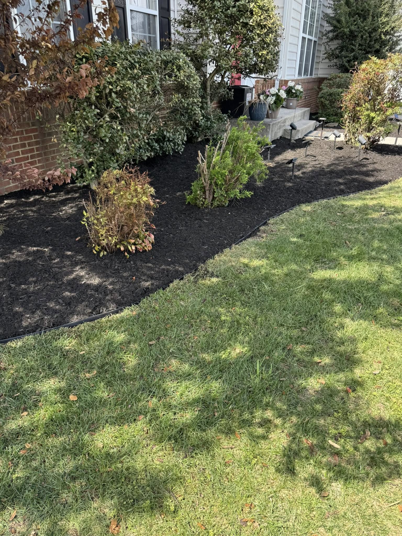 Fresh black mulch in landscape beds in Front Royal VA