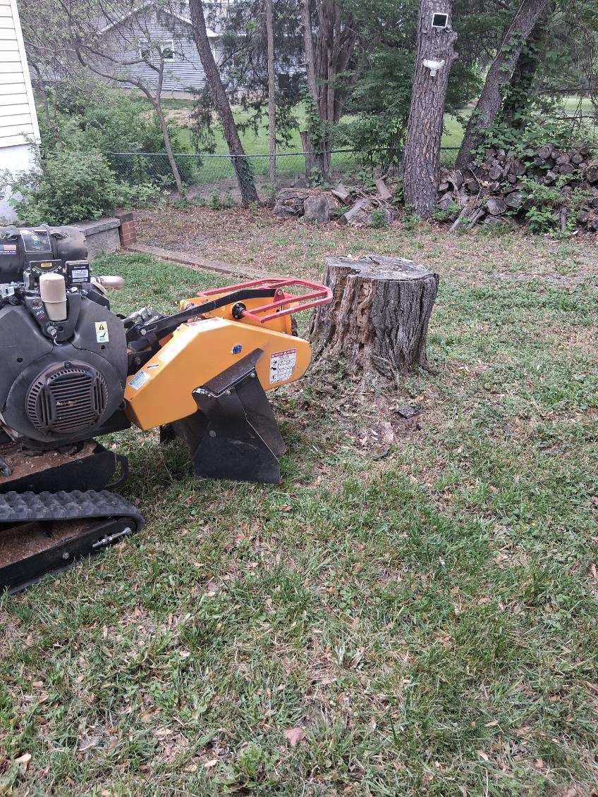 Stump grinding in a residential yard in Front Royal VA